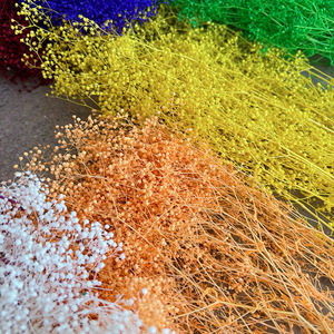 Flores Secas y Preservadas de Gypsophila de Color Brillante para Decoración del Hogar, Precio de Fábrica - Product Image 3