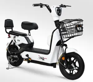 Bicicleta Eléctrica todoterreno de 350w, cicla eléctrica de 48v y 12ah, precio bajo de China