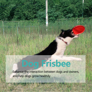 Köpek uçan disk özel Logo silikon nihai Mini plastik spor köpek oyuncaklar TPR Pet Bite oyuncaklar - Product Image 3