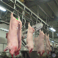 Équipement d'abattoir de porc Mobile, 40 l, pour la viande de cochon, la maison d'abattoir