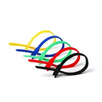 Attaches-câbles auto-agrippants réutilisables double face pour fixation, en nylon 66, longueur 250 mm, autobloquants, pour câbles de 22 mm