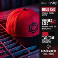 Casquette Snapback Personnalisée avec Logo OEM ODM, Broderie 3D, Faible MOQ, Détail Hexagonal, Couleurs Contrastées Rouge et Noir