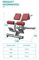 Équipement de musculation pour la maison et le commerce Banc de musculation romain avec cadre en métal pour la musculation et l'entraînement au Goat Lift