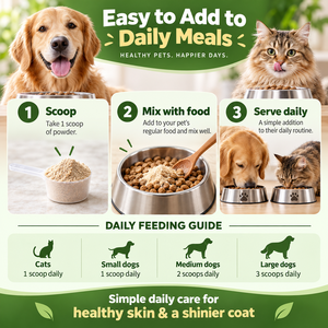 Poudre Premium pour la Peau et le Pelage des Animaux Prête à l'Expédition pour Chiens et Chats, Formule Saine à la Graine de Lin, Biotine et Vitamine <span class=keywords><strong>E</strong></span> pour un Pelage Sain, Vente en Gros 300g - Product Image 6