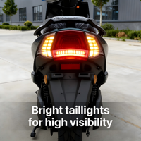 Nouveauté : cyclomoteur électrique pour adultes, longue autonomie, numérique intelligent, prix compétitif, batterie au lithium amovible, motos électriques