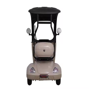 سكوتر كهربائي هولادي 60 فولت/20 أمبير بثلاث عجلات مع مصباح أمامي LED دراجة كهربائية ثلاثية العجلات لراكبين - Product Image 6