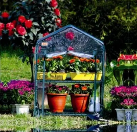 Mini serra a 2 livelli per piante piantine erbe fiori copertura in PVC giardinaggio serra Indoor Outdoor