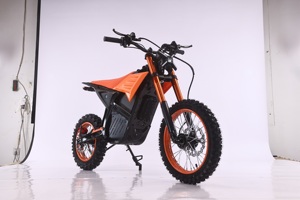 EU New Adult Large Brushless Dirt Bike <b>48V</b> 3000W 60 km/h Dual Purpose Riding Moto Cross E-bike Motorcycle CE - Product Image 6