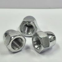 Écrou hexagonal à tête conique décorative GB923 métrique M20, zingué, entièrement fileté, usiné CNC, pour quincaillerie de meubles