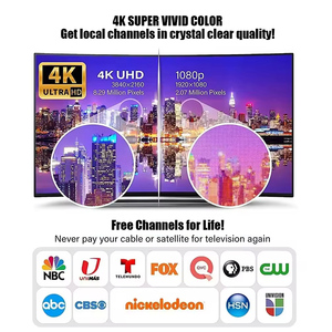Antenne <span class=keywords><strong>TV</strong></span> numérique intérieure Baiao européenne et américaine, mini antenne HDTV T2 4K à ondes terrestres, câble aérien noir, montage mural IEC - Product Image 4