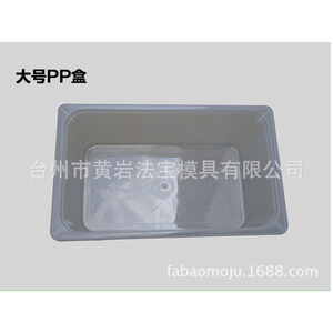 Boîte en PP de grande taille, conteneur de stockage alimentaire rectangulaire, moulage par injection personnalisé - Product Image 1