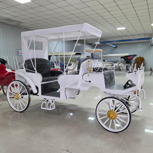 Chariot Électrique Sans Chevaux pour 6 Passagers, Écologique, pour Visites Touristiques et Transferts dans les Campus et Zones Touristiques - Product Image 5