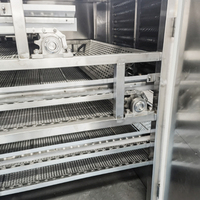Hete-luchtcirculatie continue mesh-banddroger voor fruit, groenten, chilipepers, champignons en landbouwproducten (productielijn voor dehydratatie)
