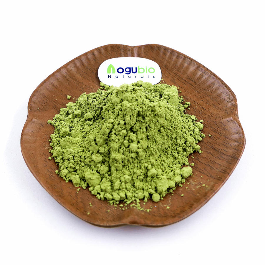 Polvere di verdure in polvere Supergreen biologica di vendita calda di Amazon con Spirulina, Moringa, erba di grano e cavolo, clorofilla