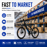 Vélo électrique certifié CE 250W, stock UE, livraison rapide gratuite en Europe, vélo de montagne électrique légal pour adultes 36V OEM