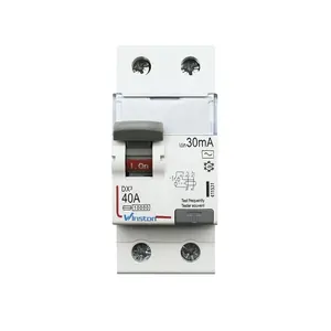 DX 40A 2P RCCB 230V 6A - 100A RCCB mini earth electric leakage circuit breaker