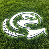Enseigne personnalisée rétroéclairée par LED, lettres en métal doré 3D, logo lumineux, enseigne pour entreprise, intérieur/extérieur, publicité pour magasin