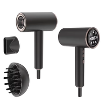 Sèche-cheveux ionique professionnel 2000W moteur à courant continu électrique haute vitesse Portable avec buse de diffuseur pour usage domestique et hôtelier