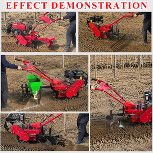Motoculteur chenillé compact 7 CV pour la préparation du sol et le désherbage des petites exploitations agricoles - Product Image 5