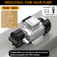 Pompa Gear Industri Listrik Cavitt Factory 750W 380V POM 2800RPM untuk Transfer Cairan Kimia, Air, dan Minyak dengan Viskositas Rendah