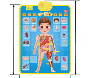 Affiche Murale Interactive Éducative pour Enfants : Apprenez les Parties du Corps et l'Anatomie Humaine avec Son – Mon Corps - Product Image 3
