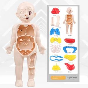 Modèle de structure des organes humains pour l'éducation scientifique des enfants, jouet éducatif en plastique, jeu d'assemblage et d'association pour les enfants de 5 à 13 ans, unisexe - Product Image 6