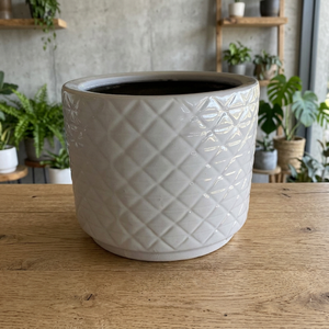 High Quality Eco-Friendly Durable Lightweight Vietnamese Small Glazed Flower Pots Modern Style Ceramic <b>Propagator</b> Kits - Product Image 3