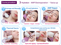 Masseur Visage et Yeux Professionnel 2026 à Microcourant – Appareil de Beauté pour le Contouring Facial – Clinique OEM ODM