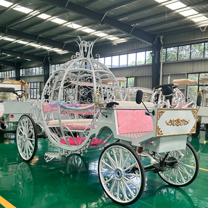 Chariot de Mariage Électrique Commercial Personnalisé en Métal Rose Citrouille, Modèle Cendrillon - Transport Spécial à Vendre - Product Image 6
