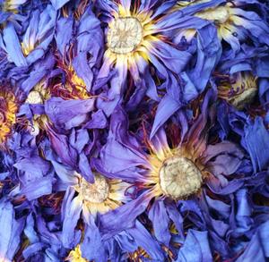 ルーズドライホールブルーロータスフラワーハーブスリーピングティーゴールデンロータスフルフラワーディバイルバッグ - Product Image 6