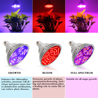 Ampoules LED pour la culture des plantes à spectre complet IP65 en acier inoxydable, lumière de croissance pour plantes d'intérieur, UV IR, lampe de floraison pour hydroponie, serre