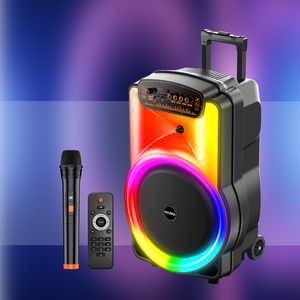 Altavoz Portátil Kakusiga de 12 Pulgadas con Luz LED, Bluetooth, USB, SD, FM y Micrófono - Product Image 5