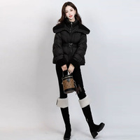 Doudoune courte pour femme, design de niche, effet deux pièces, en duvet de canard blanc, col montant épais, Hiver 2026, disponible en petite taille, en stock