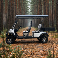 Voiturette de golf électrique chinoise HUANLI 48V à 4 places, personnalisée, en acier, avec moteur AC 5KW, vitesse maximale de 30 km/h, batterie au plomb-acide, autonomie de 70-90 km
