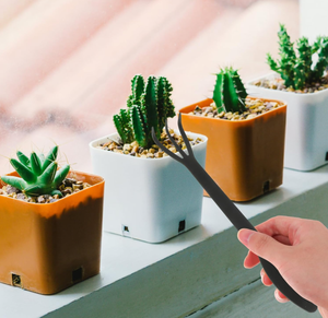 Ensemble de 5 outils de jardinage pour plantes <span class=keywords><strong>en</strong></span> <span class=keywords><strong>pot</strong></span> d'intérieur et d'extérieur, pour le repiquage - Product Image 4