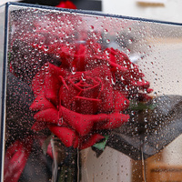 Plaque en acrylique personnalisée – Boîte cadeau en acrylique transparente en forme de cube, réutilisable pour bouquets de fleuristes et présentation de cadeaux à long terme