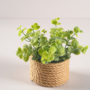 <span class=keywords><strong>Mini</strong></span> plantes artificielles <span class=keywords><strong>en</strong></span> <span class=keywords><strong>pot</strong></span>, fausses plantes vertes avec <span class=keywords><strong>pot</strong></span> tressé <span class=keywords><strong>en</strong></span> herbe, <span class=keywords><strong>eucalyptus</strong></span> pour la décoration de la maison, du bureau, du salon, de la chambre à coucher - Product Image 3