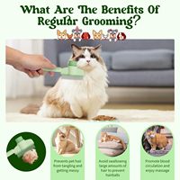 Brosse de toilettage autonettoyante haut de gamme pour animaux de compagnie, manche ergonomique bicolore, design simple en acier inoxydable, universelle pour animaux de compagnie