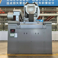 Horno de Inducción para Tratamiento Térmico con Control Preciso de Temperatura y Alta Tasa de Conversión para Fundir Metal, Acero y Hierro