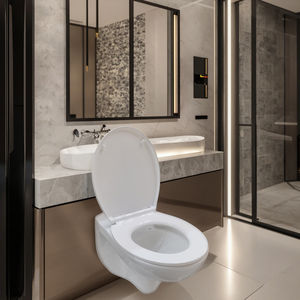 Inodoro de pared al por mayor de Polonia con tanque oculto, artículos sanitarios, baño, WC, WC suspendido - Product Image 1