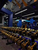 Mancuernas SK Gold de 5 kg a 50 kg, Pesas Libres, Equipo de Entrenamiento de Fuerza para Gimnasio Comercial, Logotipo Personalizado, Venta al por Mayor de Fábrica, OEM China