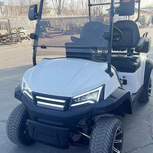 Carrito de Golf Eléctrico de 2 Plazas Personalizable, Nuevo Buggy de Caza con Batería de 48V, Vehículo Buggy de Golf para Caminos No Públicos - Product Image 3