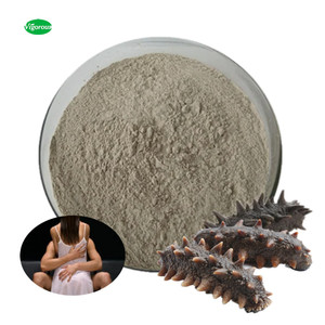 Чистый высушенный экстракт морского огурца порошок дополнение - Product Image 1