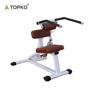 Topko nhà tập thể dục AB & trở lại hyperextension huấn luyện viên tăng cường cốt lõi & Thấp hơn trở lại - Product Image 1