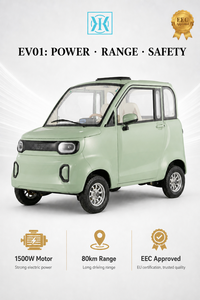 <span class=keywords><strong>Voiture</strong></span> <span class=keywords><strong>électrique</strong></span> miniature 72V 1500W, batterie au plomb-acide 58AH, autonomie 80 km, vitesse maximale 42 km/h, <span class=keywords><strong>voiture</strong></span> <span class=keywords><strong>électrique</strong></span> pour adultes certifiée EEC - Product Image 3