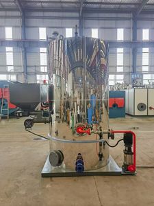 Промышленный парогенератор на угле и биомассе 300, 500, 700 кг, полный комплект оборудования, недорогой - Product Image 2