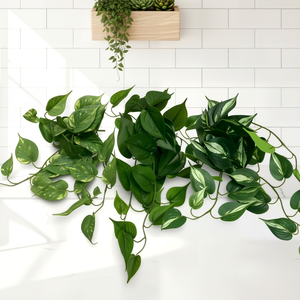 <span class=keywords><strong>Plantes</strong></span> suspendues artificielles réalistes en pot, lierre vert artificiel et <span class=keywords><strong>arum</strong></span> pour la décoration intérieure, la maison, le bureau et le jardin - Product Image 1