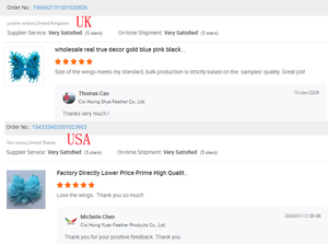 Cantik ayam jantan sayap malaikat untuk kostum pesta Natal Cosplay pertunjukan panggung karnaval Halloween dekorasi meriah - Product Image 6