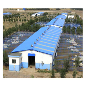 Produit chaud poulailler en métal préfabriqué hangar à vaches personnalisable ferme porcine agriculture à structure en acier - Product Image 6