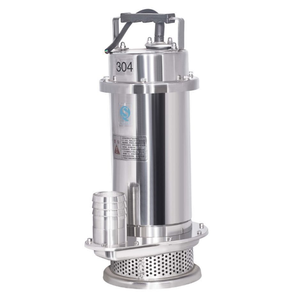 Premium Qdx Stainless Steel Water Pump With Energy Saving Motor Design